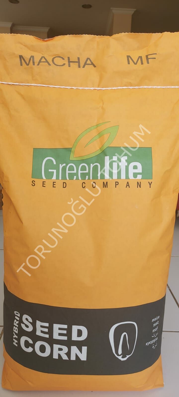 Silajlık Mısır Tohumu Macha