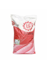 Truva Silajlık Mısır Tohumu