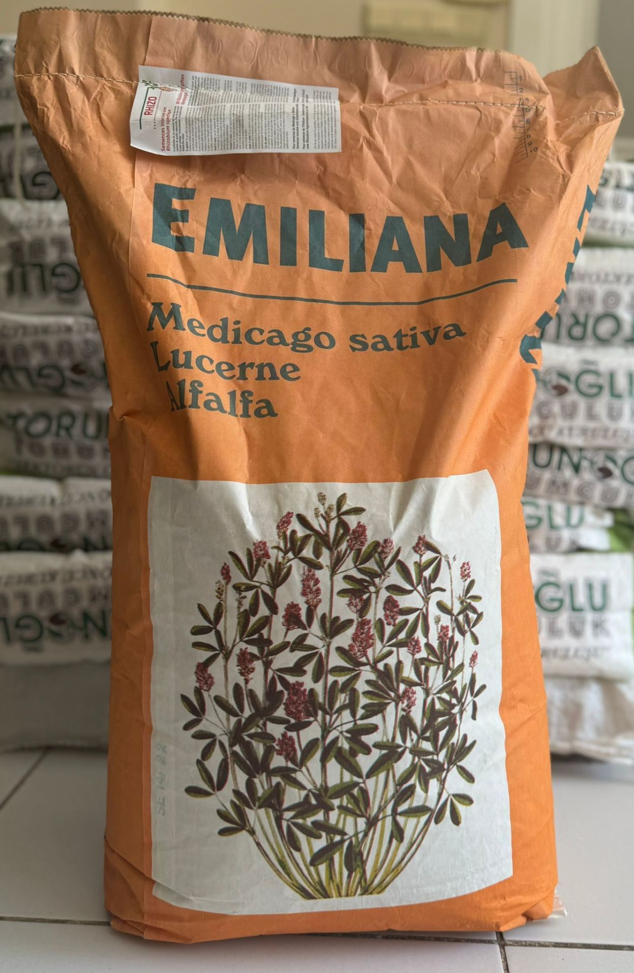 Emiliana Yonca Tohumu