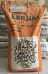 Emiliana Yonca Tohumu