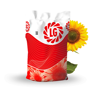 LG 50.480 Yağlık Ayçiçeği Tohumu ( Hibrit )