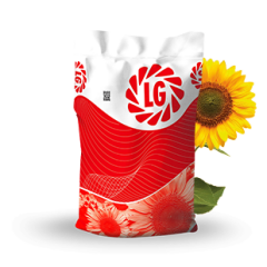 LG 50.550 CLP Yağlık Ayçiçeği Tohumu