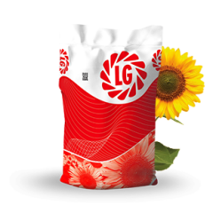 LG 50.455 CLP Yağlık Ayçiçeği Tohumu