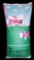 Yonca Tohumu Novosadska