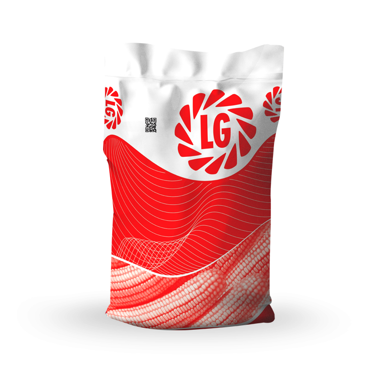 LG 30.701  Danelik ve sılajlık Mısır Tohumu