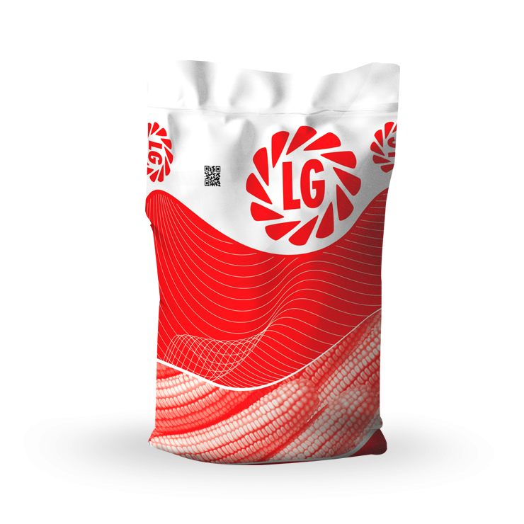 LG 31.642 Mısır Tohumu