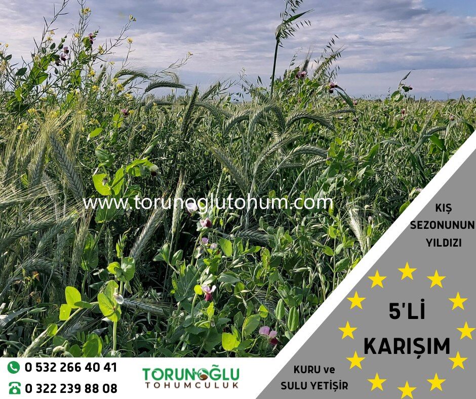 4'lü karışım Yem Bitkisi Tohumu