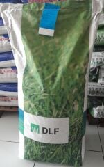 Festuca Rubra Commutata (Adi Kırmızı Yumak) Çim Tohumu